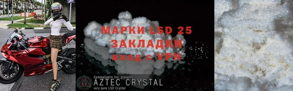 прущие грибы Аркадак