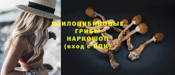 герыч Арсеньев