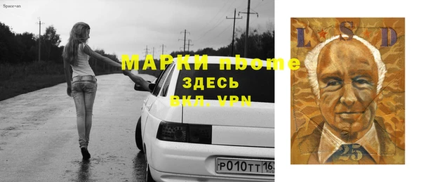 прущие грибы Аркадак