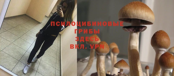 герыч Арсеньев