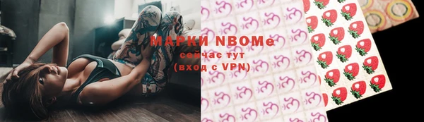 прущие грибы Аркадак