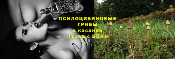 прущие грибы Аркадак