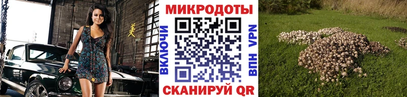 Псилоцибиновые грибы прущие грибы  Суровикино 